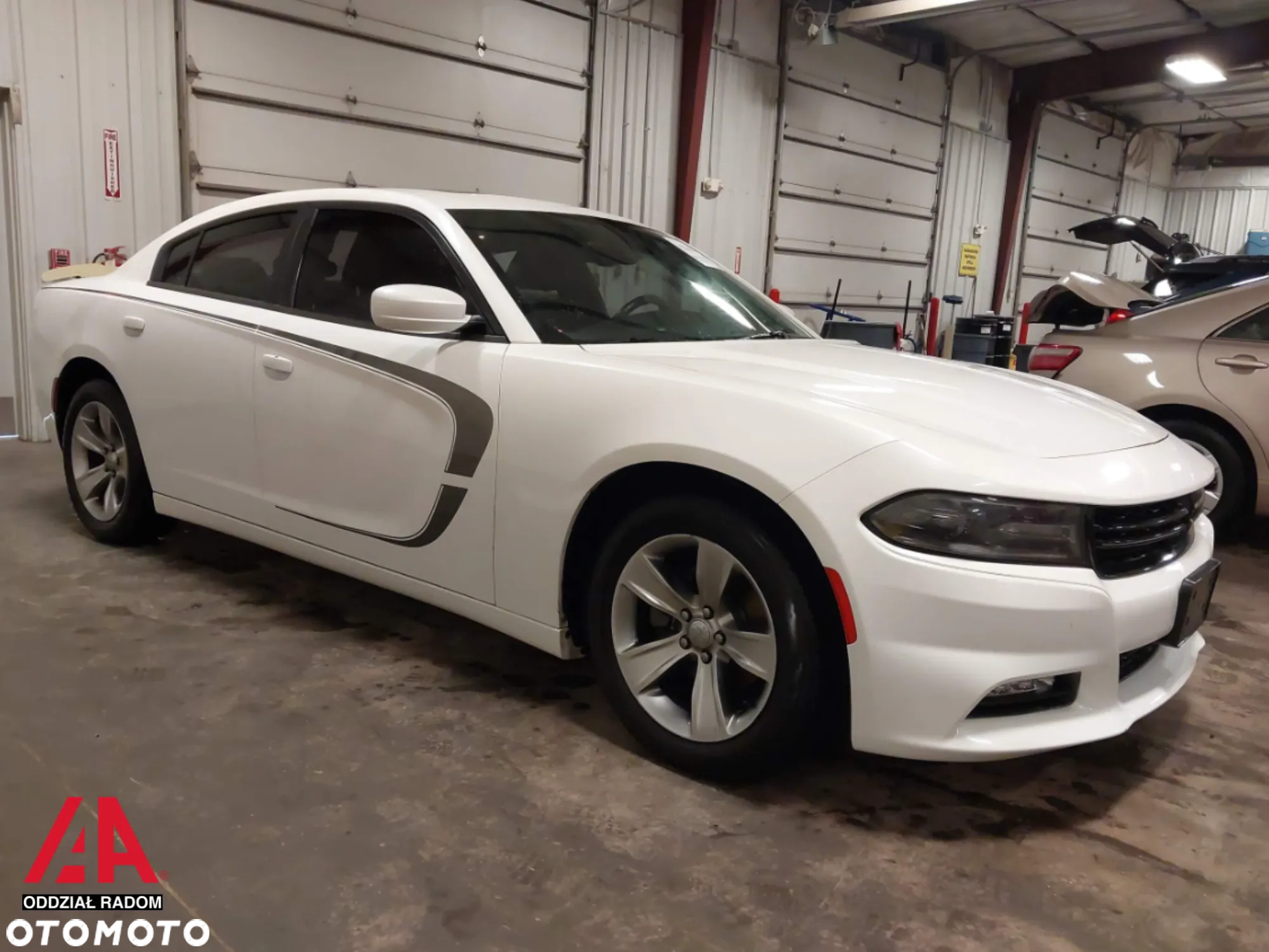 Dodge Charger - 2