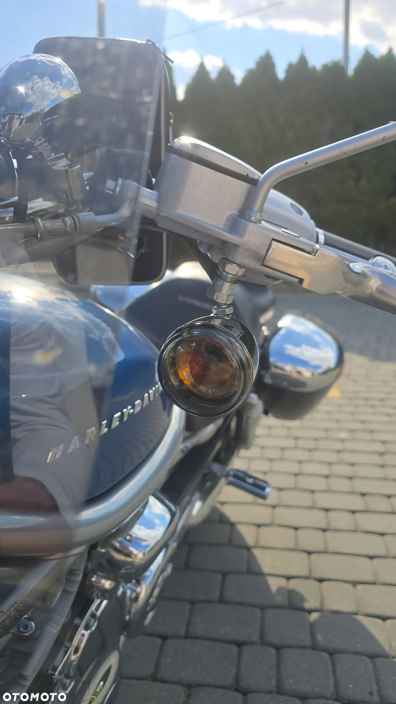 Harley-Davidson Softail V-Rod - 14