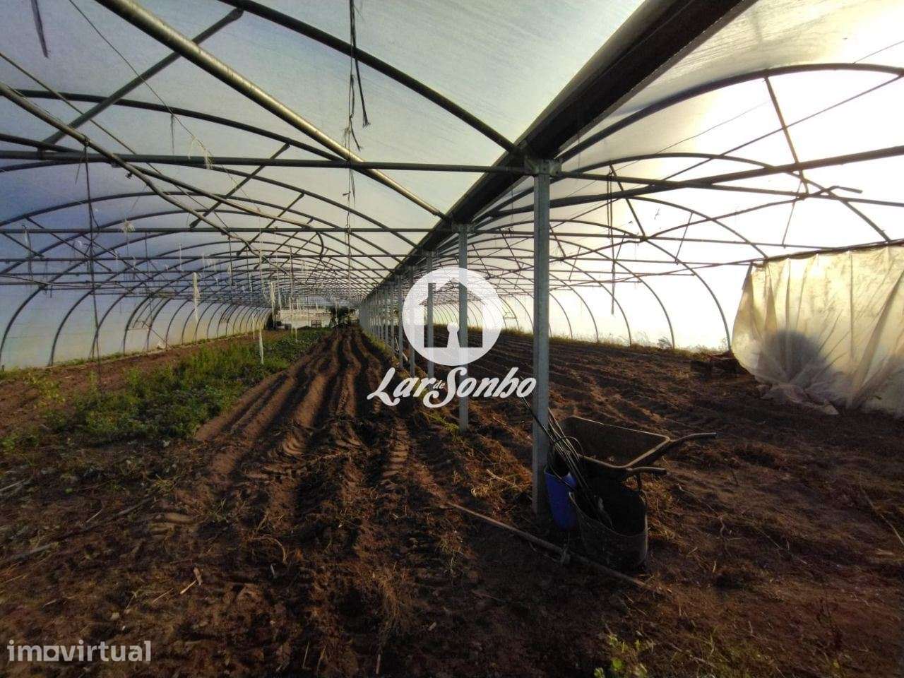 Terreno agrícola com 1.900m2, na Póvoa de Varzim - Grande imagem: 3/5