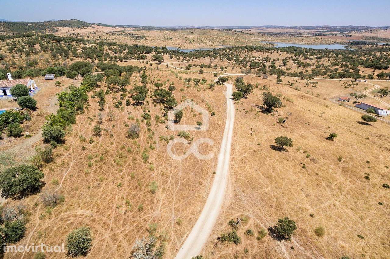 Terreno rústico com 13250 m2 | Terena - Grande imagem: 4/12