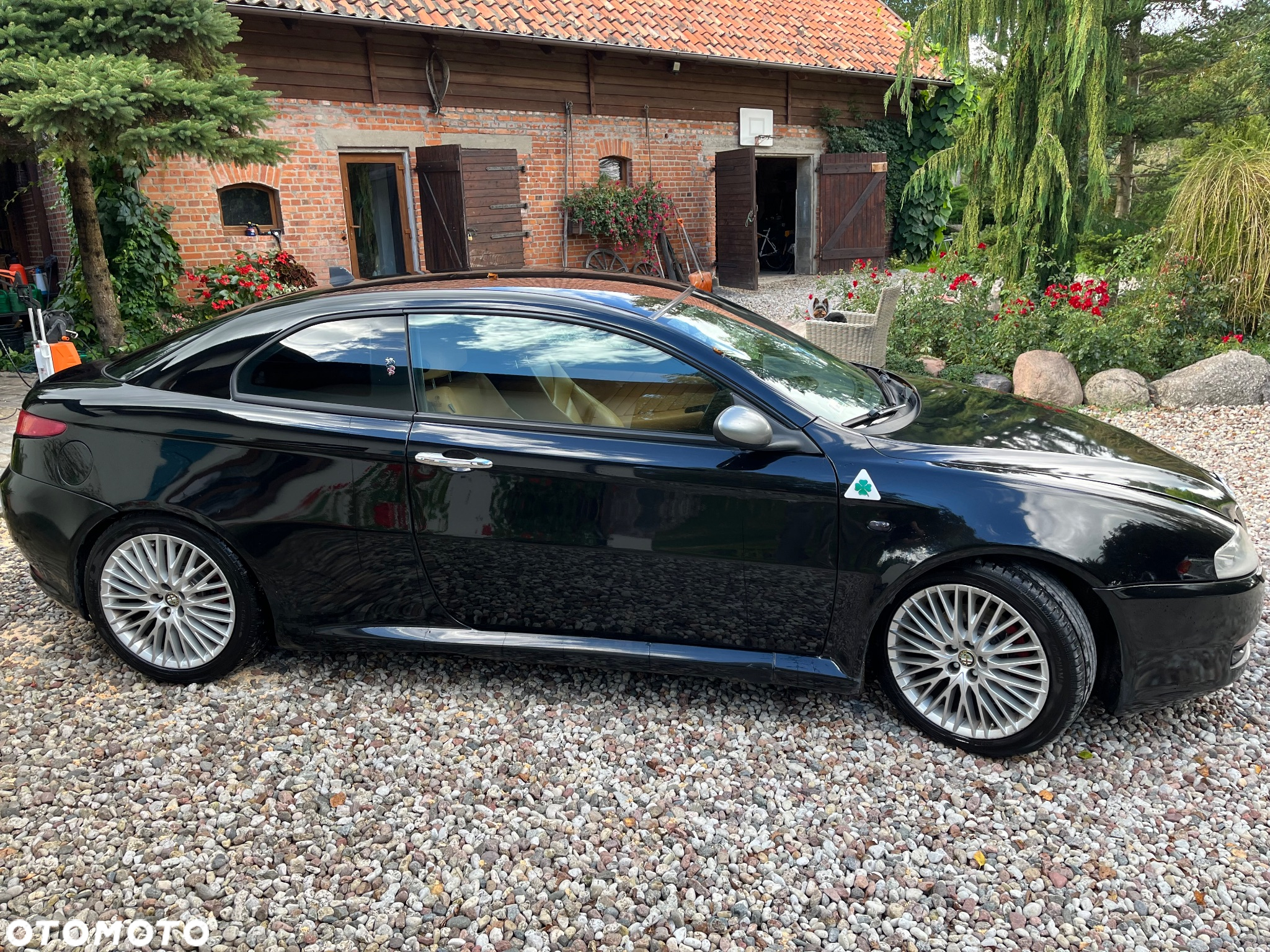 Alfa Romeo GT 1.9JTD 16V Distinctive - 3