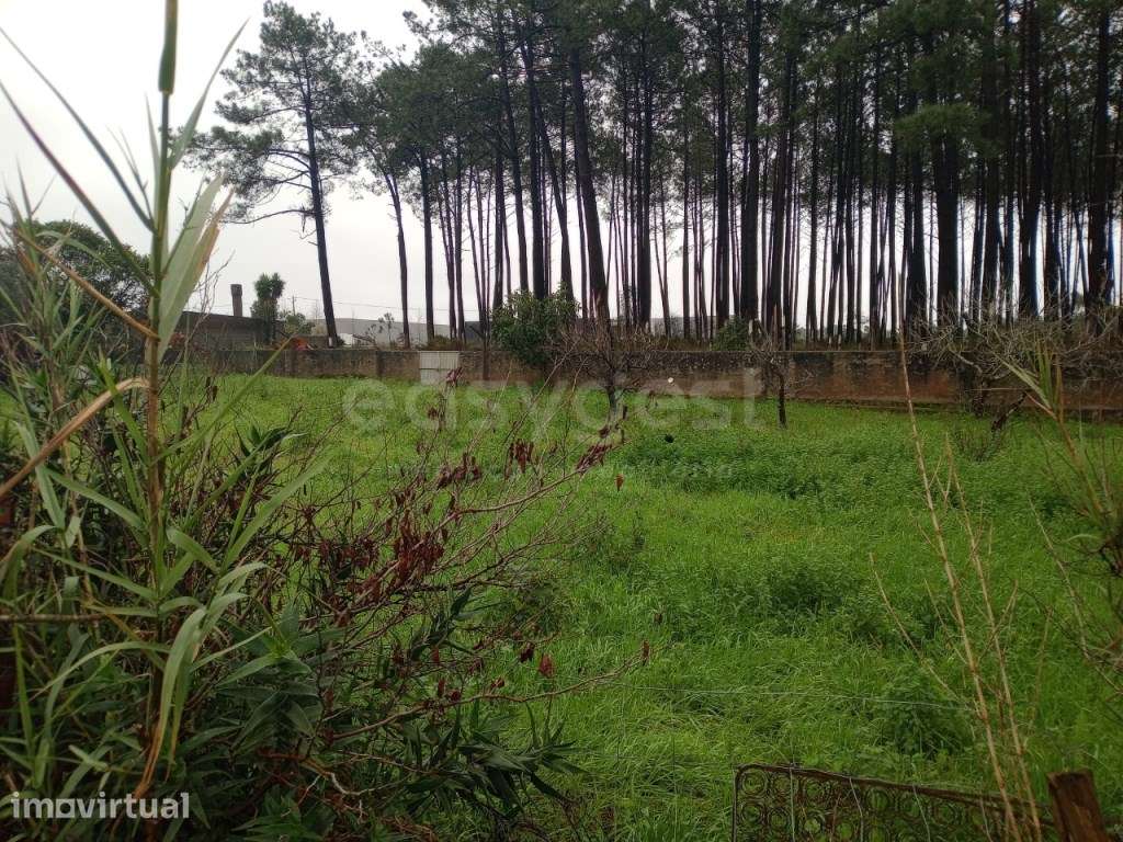 Terreno para construção, situado em Martingança - Grande imagem: 4/6