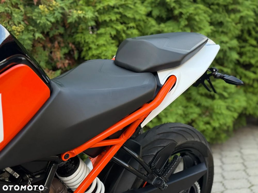 KTM Duke - 36