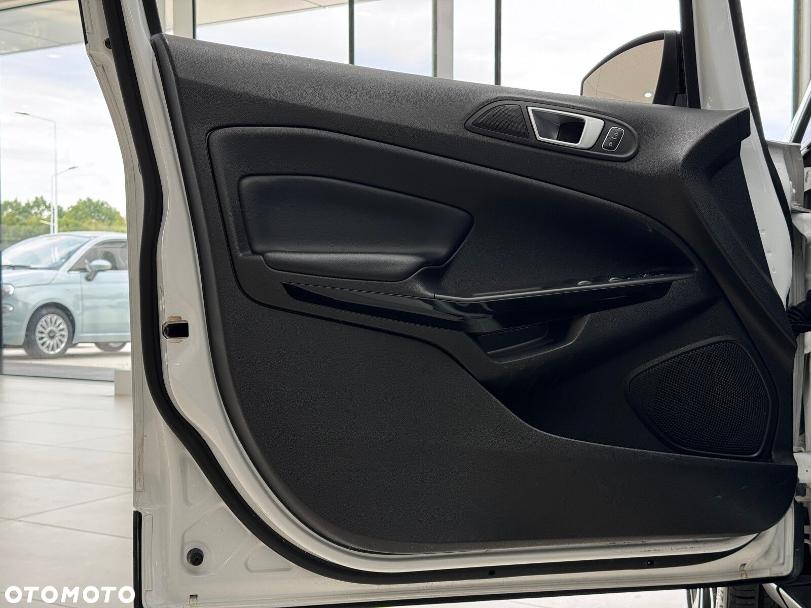 Ford EcoSport 1.0 EcoBoost GPF Active ASS - 12