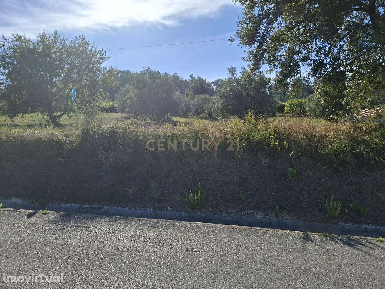 Terreno em Pombal com Vista Panorâmica e Acessos Convenientes - Grande imagem: 2/37