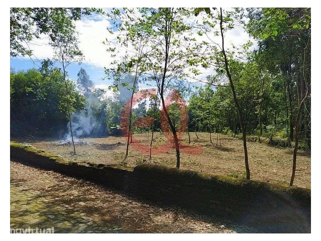 Terreno - Seixas - Caminha - Grande imagem: 3/10