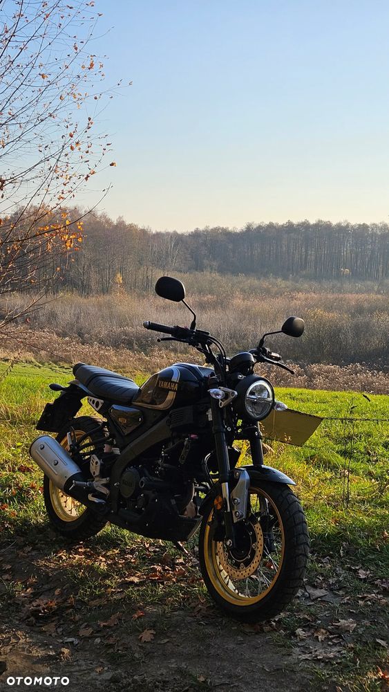 Yamaha XSR - 6