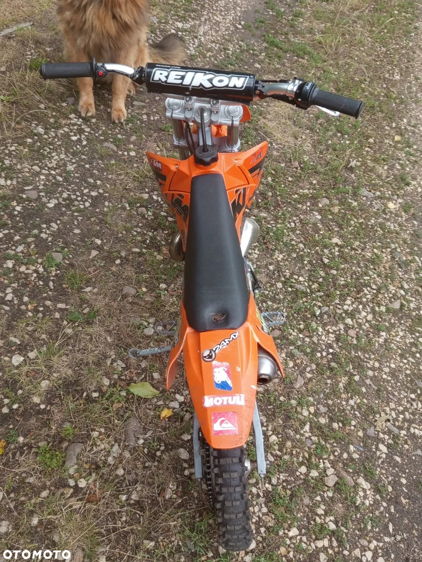 KTM SX