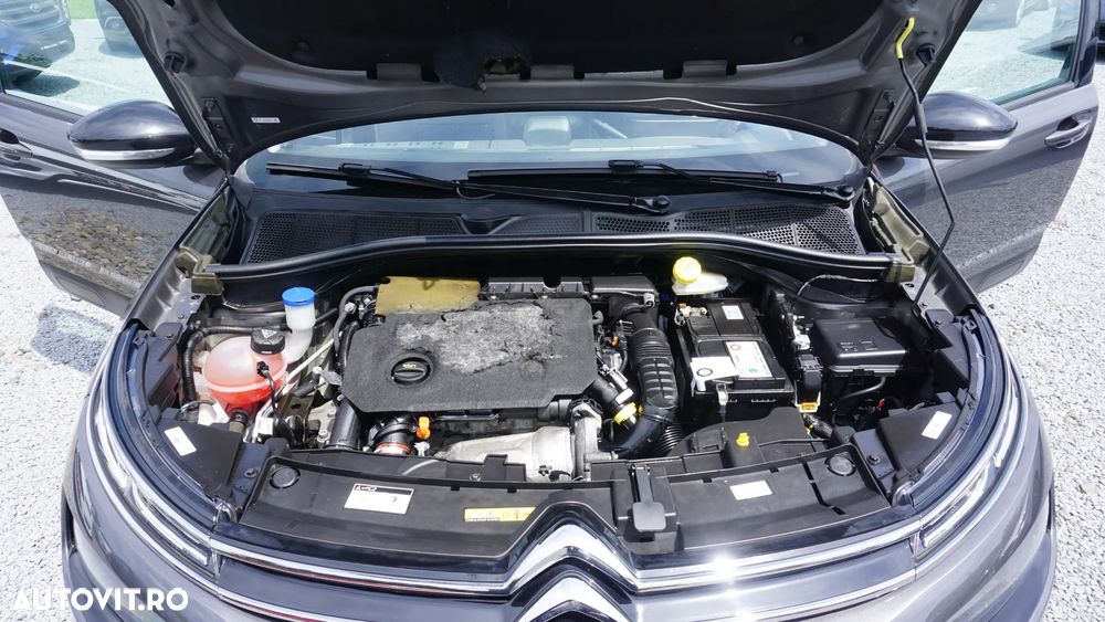 Citroën C4 Cactus 1.5 BlueHDi S&S BVM6 Live - 31