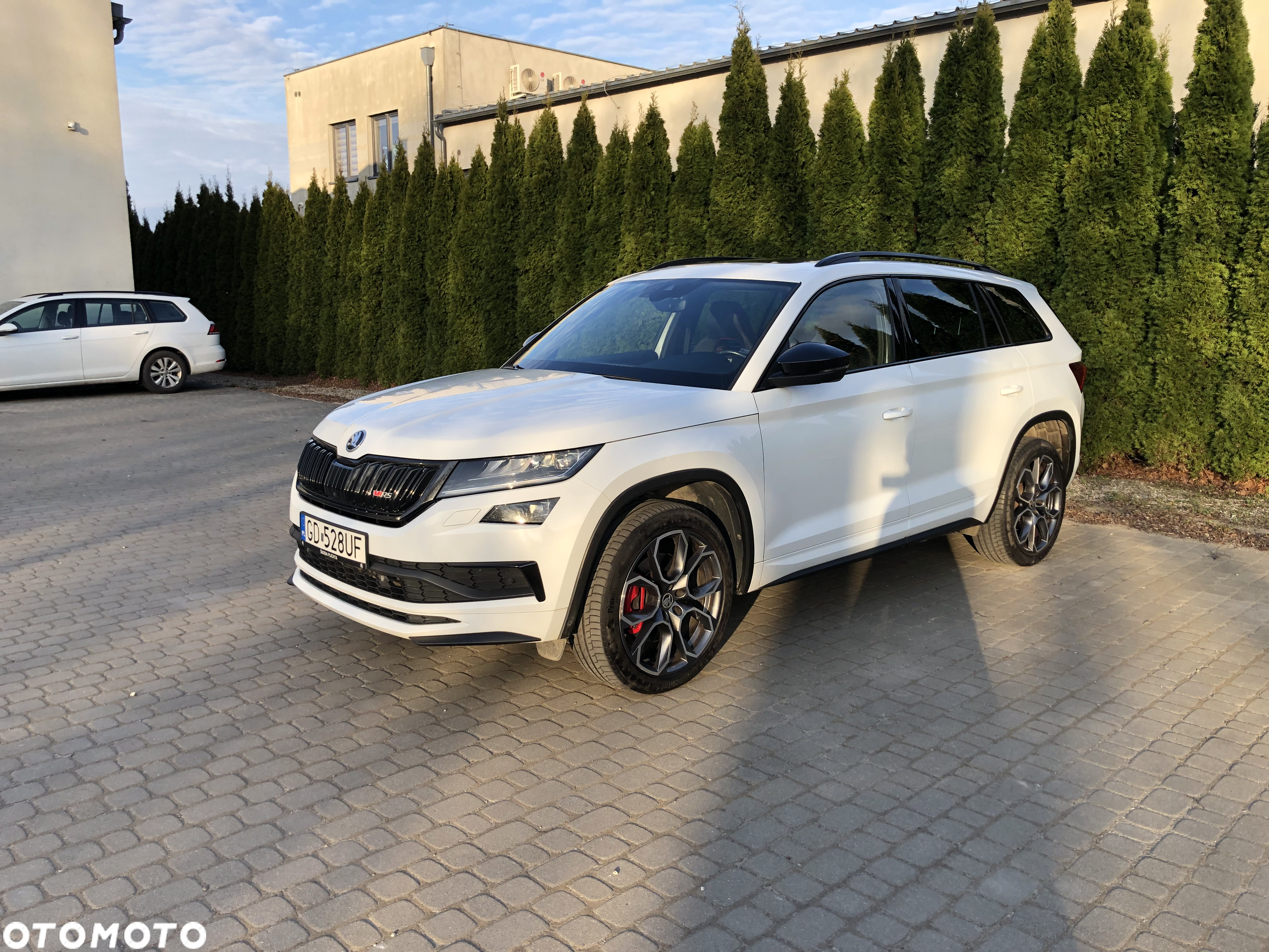 Skoda Kodiaq 2.0 Bi-TDI 4x4 RS DSG - 3