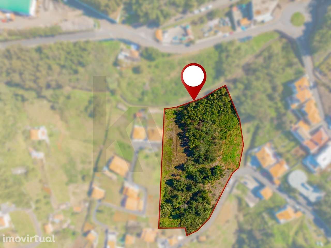 Terreno com 9.590 m2 – Ribeira Brava | Vista mar e natureza - Grande imagem: 5/18