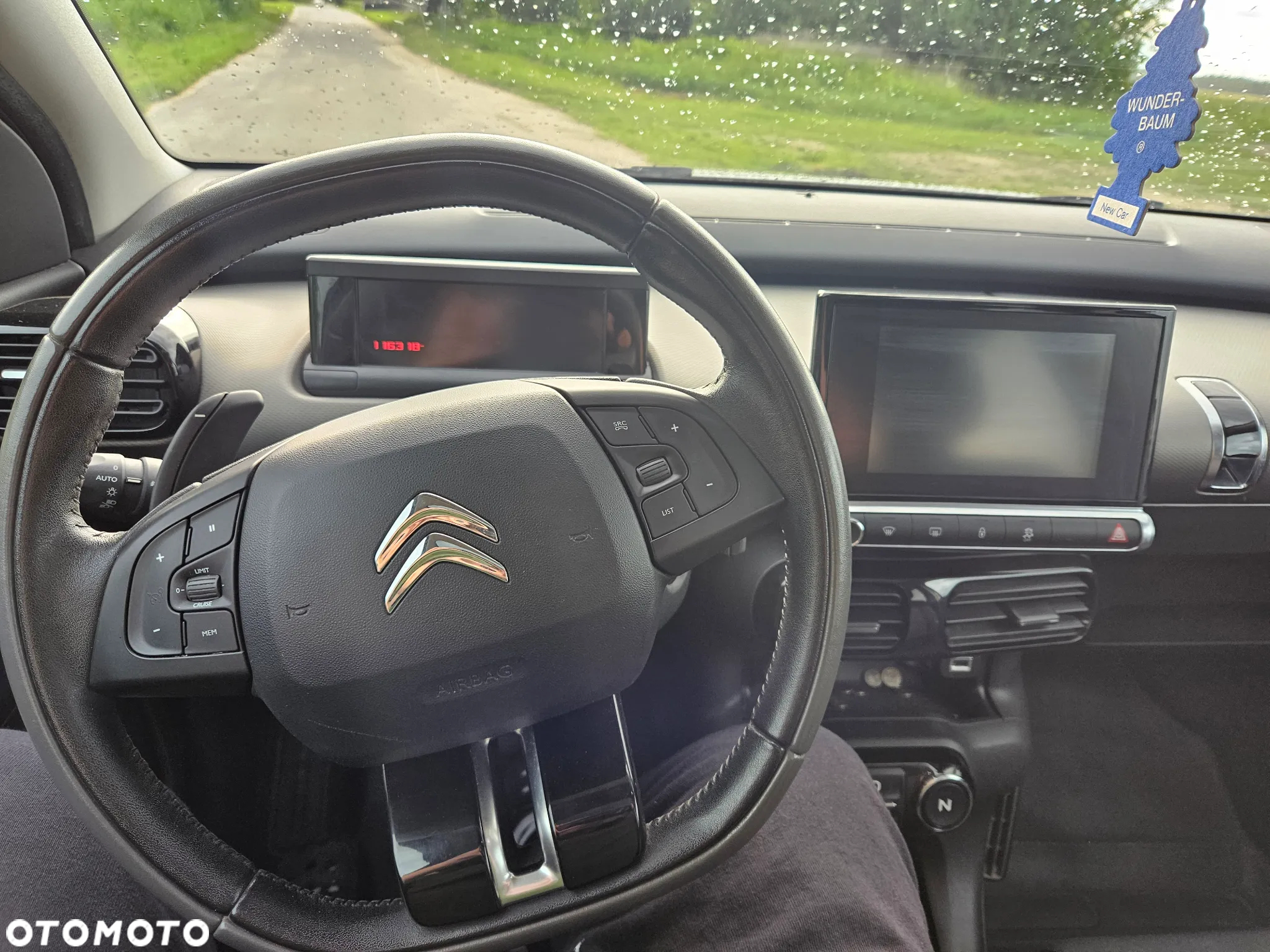 Citroën C4 Cactus - 10