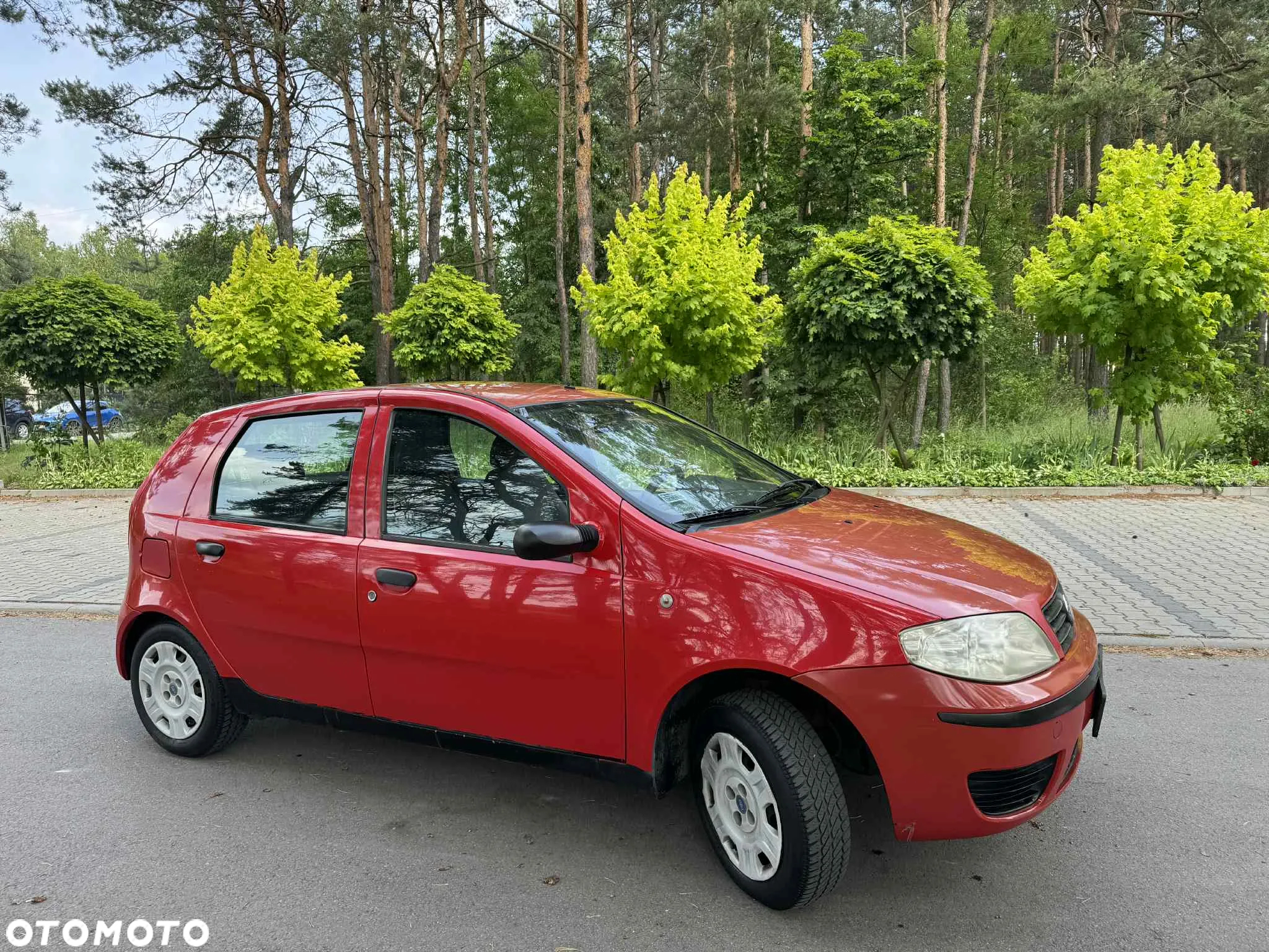 Fiat Punto 1.2 8V Dynamic - 4