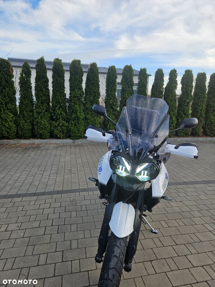 Triumph Tiger - 4