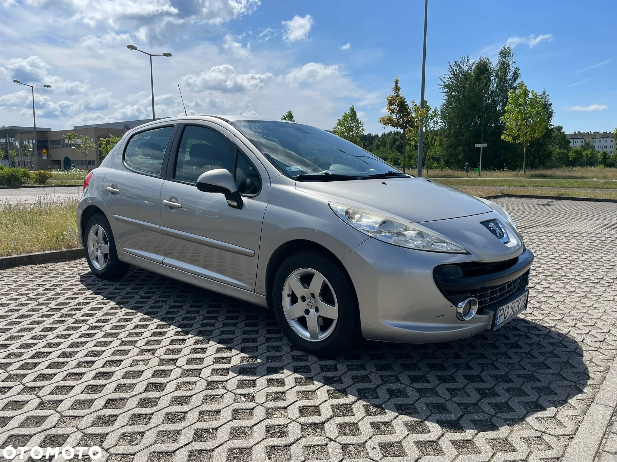 Peugeot 207 - 8