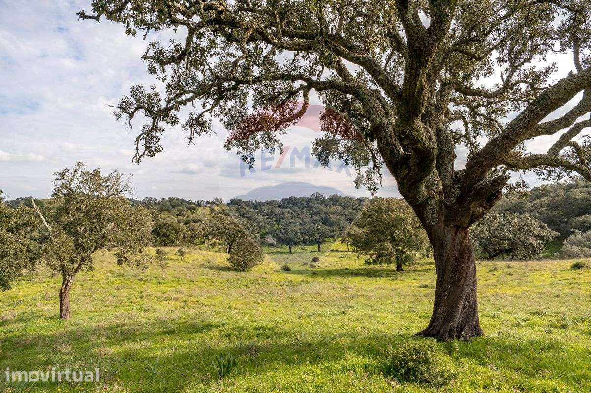 Terreno  para venda - Grande imagem: 5/23