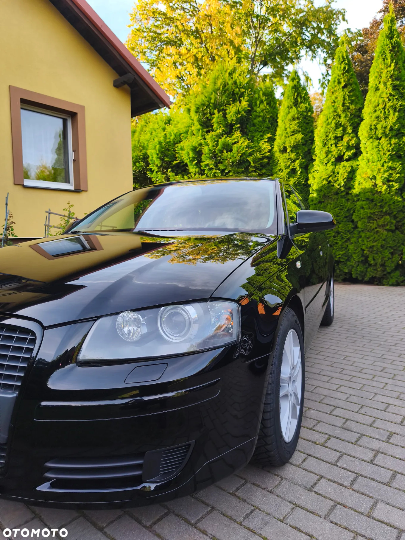 Audi A3 Sportback 1.6 Attraction - 9