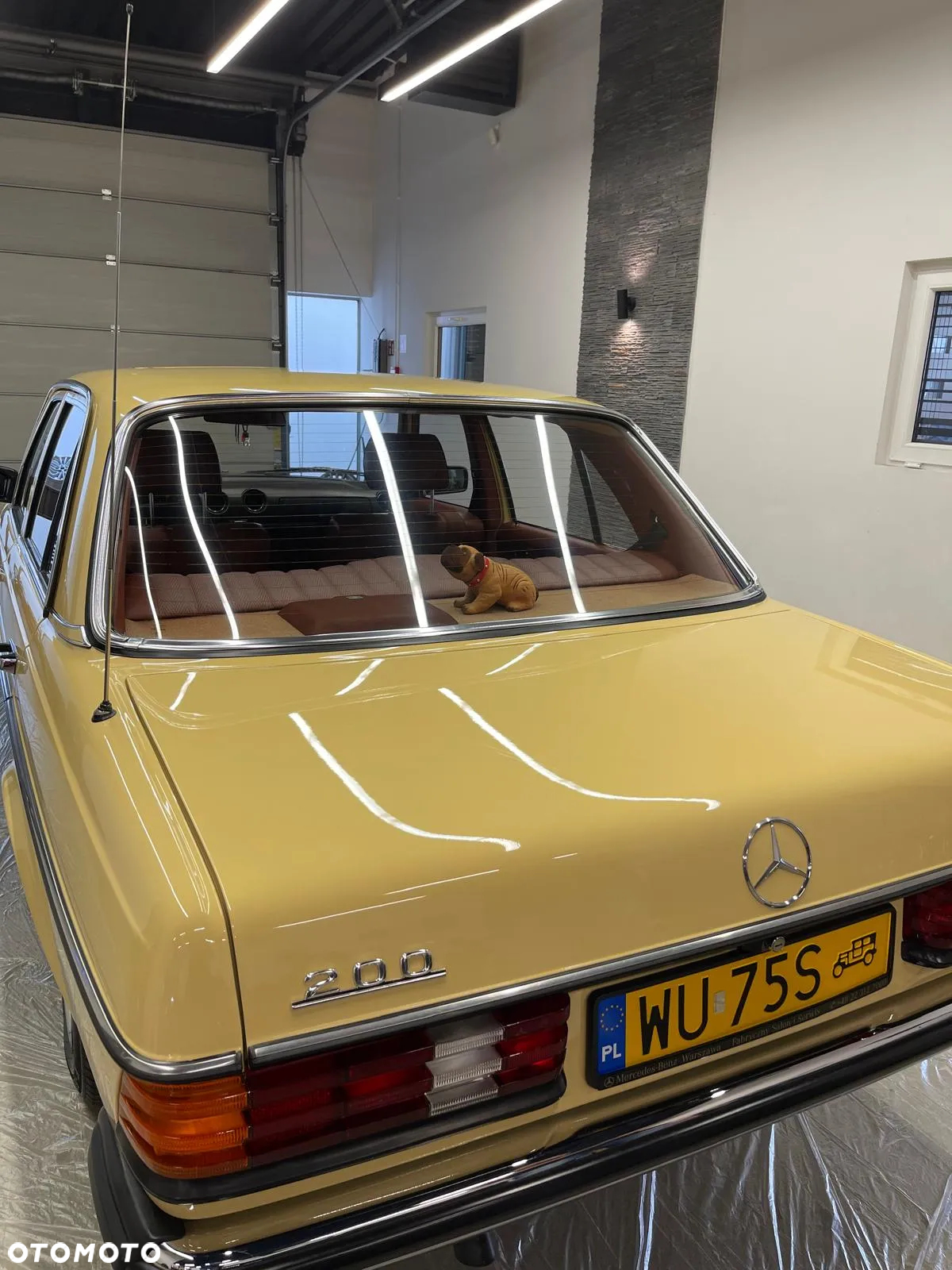 Mercedes-Benz W123 - 4