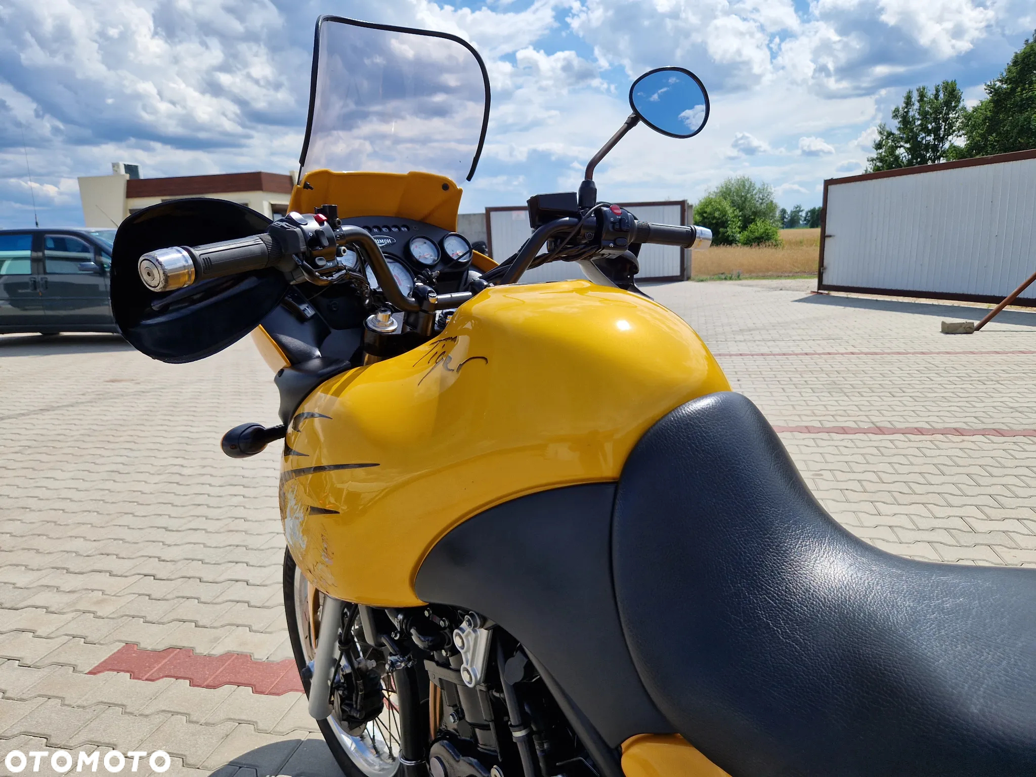 Triumph Tiger - 25