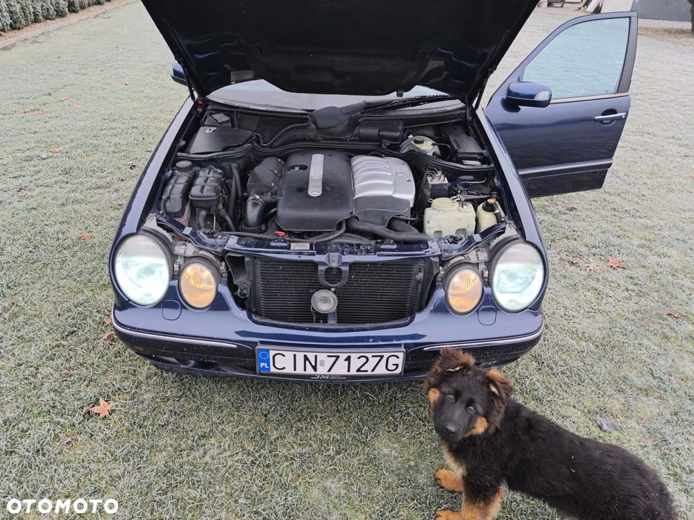 Mercedes-Benz Klasa E 270 T CDI Avantgarde - 16