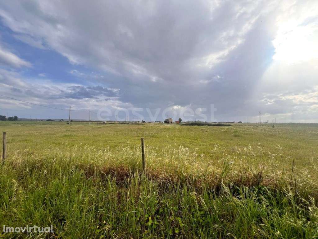 Terreno com 22400m com Construção, Poço e Eletricidade - Grande imagem: 5/17
