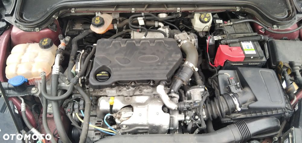 Ford Focus 1.5 EcoBlue Start-Stopp-System TITANIUM VIGNALE - 39