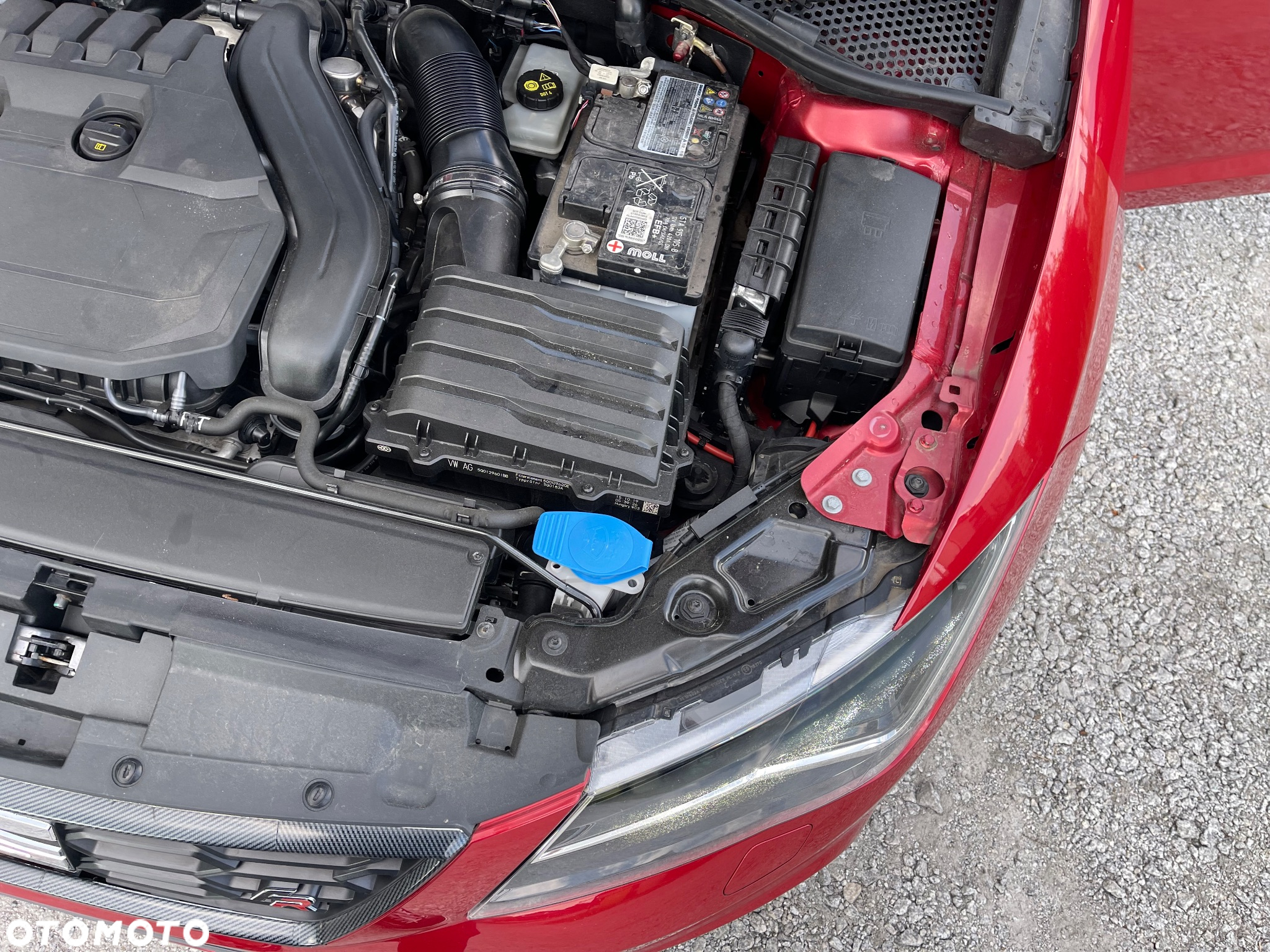 Seat Leon 1.5 EcoTSI Evo FR Black S&S - 23
