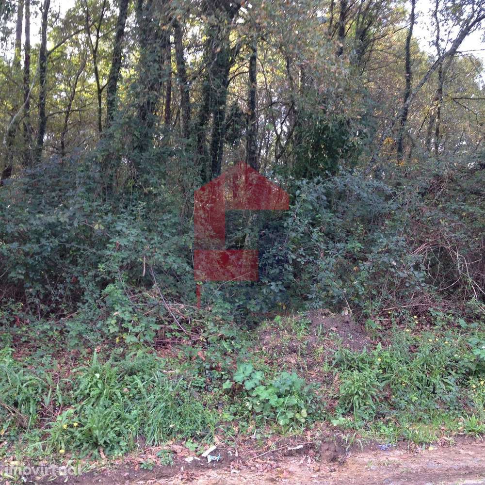 Terreno industrial, Arcozelo - Grande imagem: 3/7