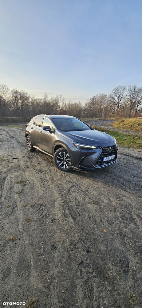 Lexus NX 350h Prestige AWD - 6