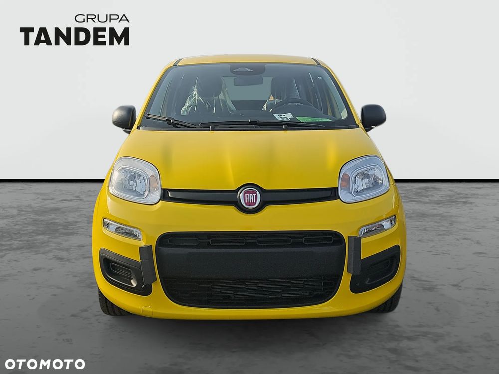 Fiat Panda - 3
