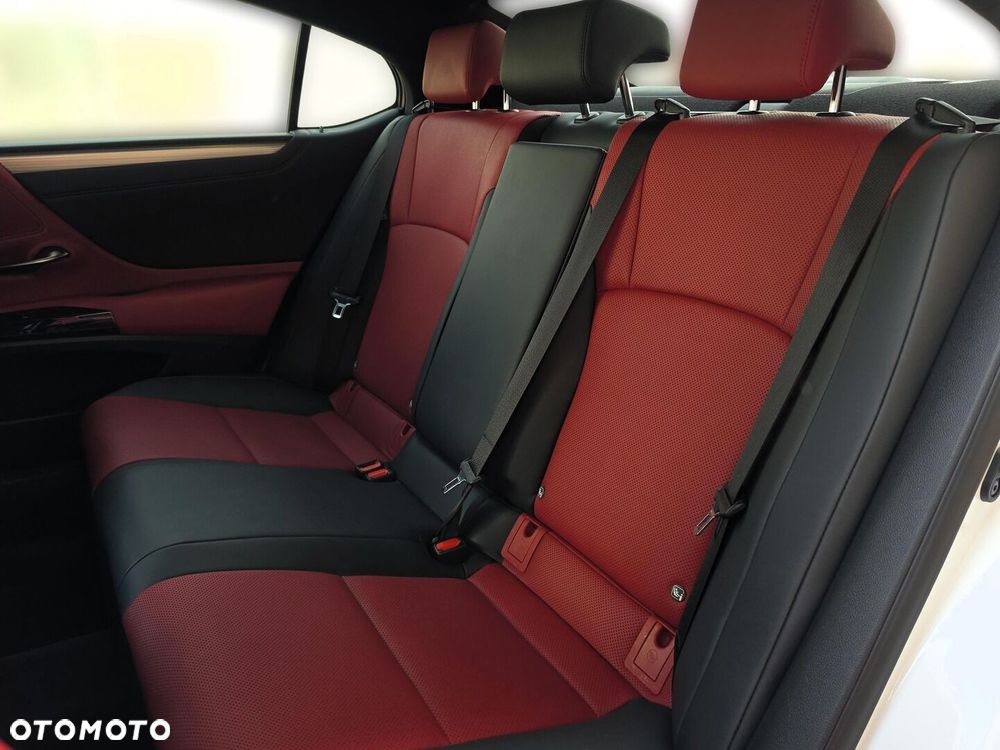 Lexus ES 300h F Sport Edition - 30