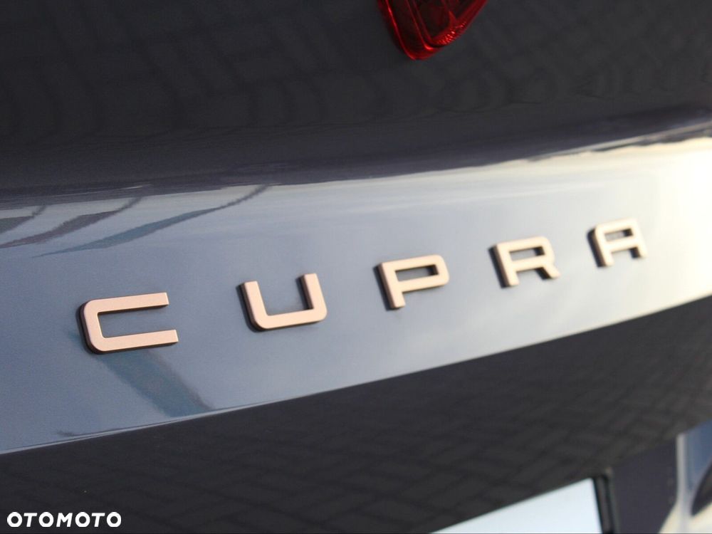 Cupra Terramar - 40