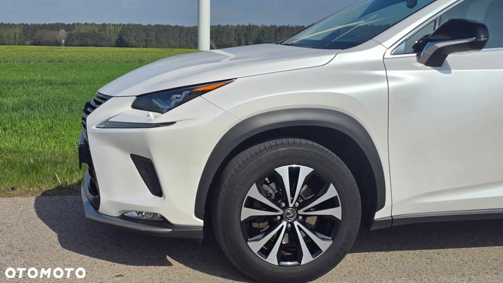 Lexus NX 300h F Impression AWD - 19