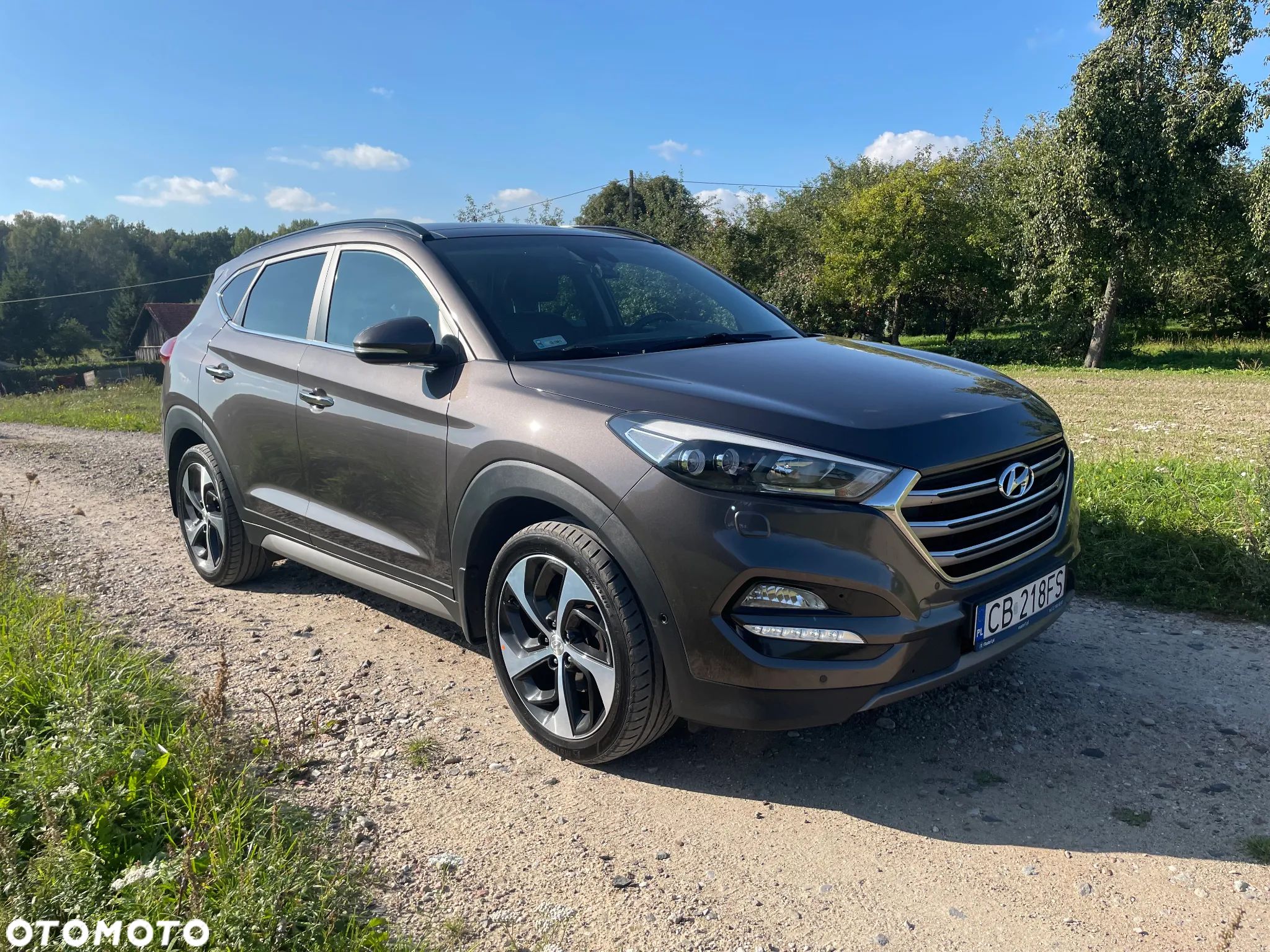 Hyundai Tucson 2.0 CRDI Premium 4WD - 1