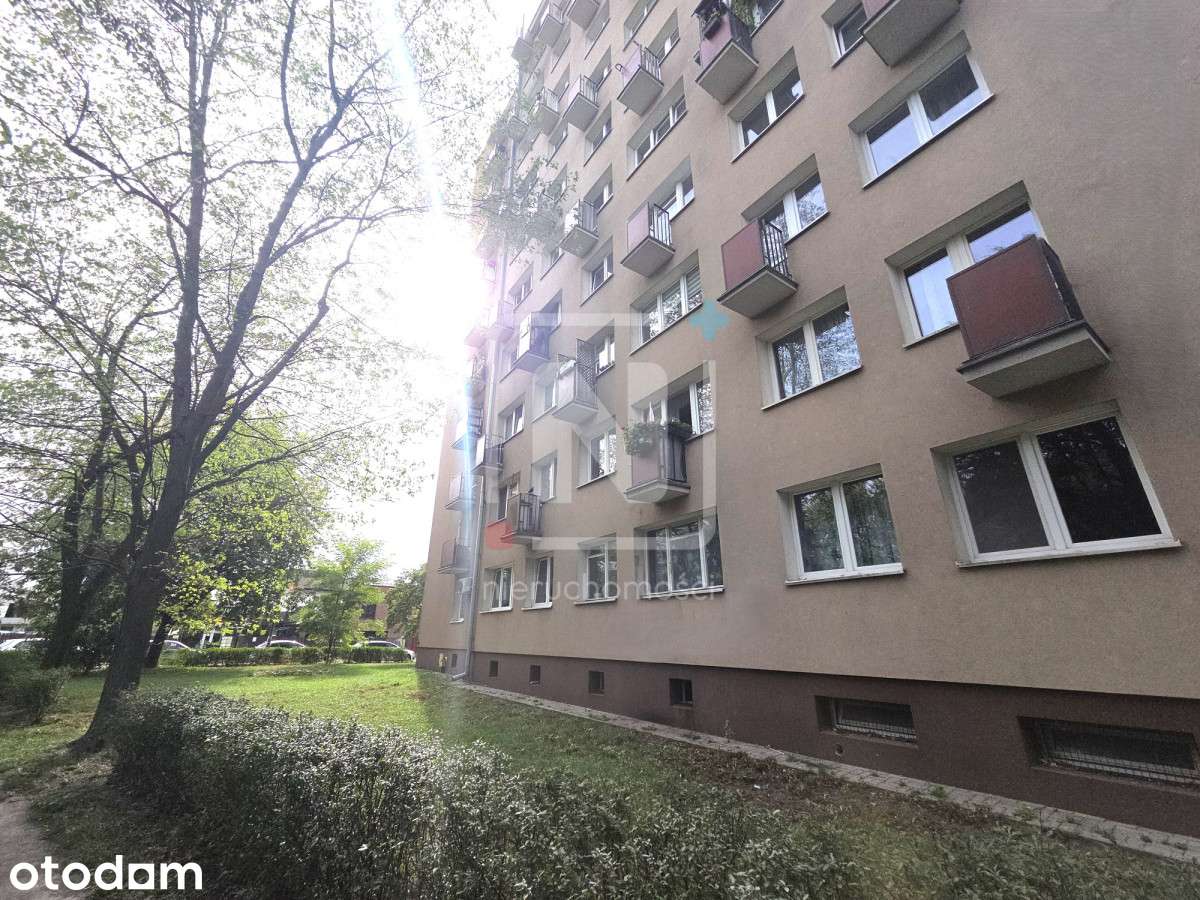 Przytulne M do własnej aranżacji