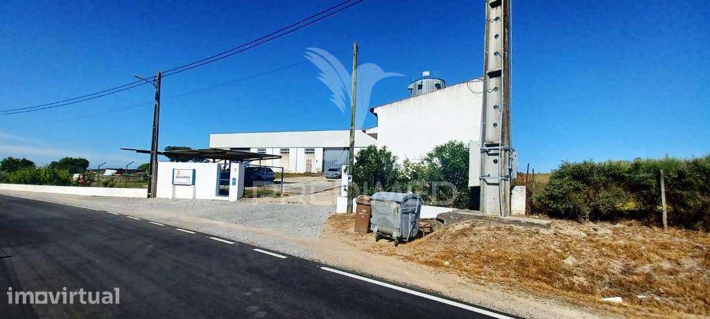 Armazém Industrial e Lote de Terreno Urbano - Grande imagem: 3/25