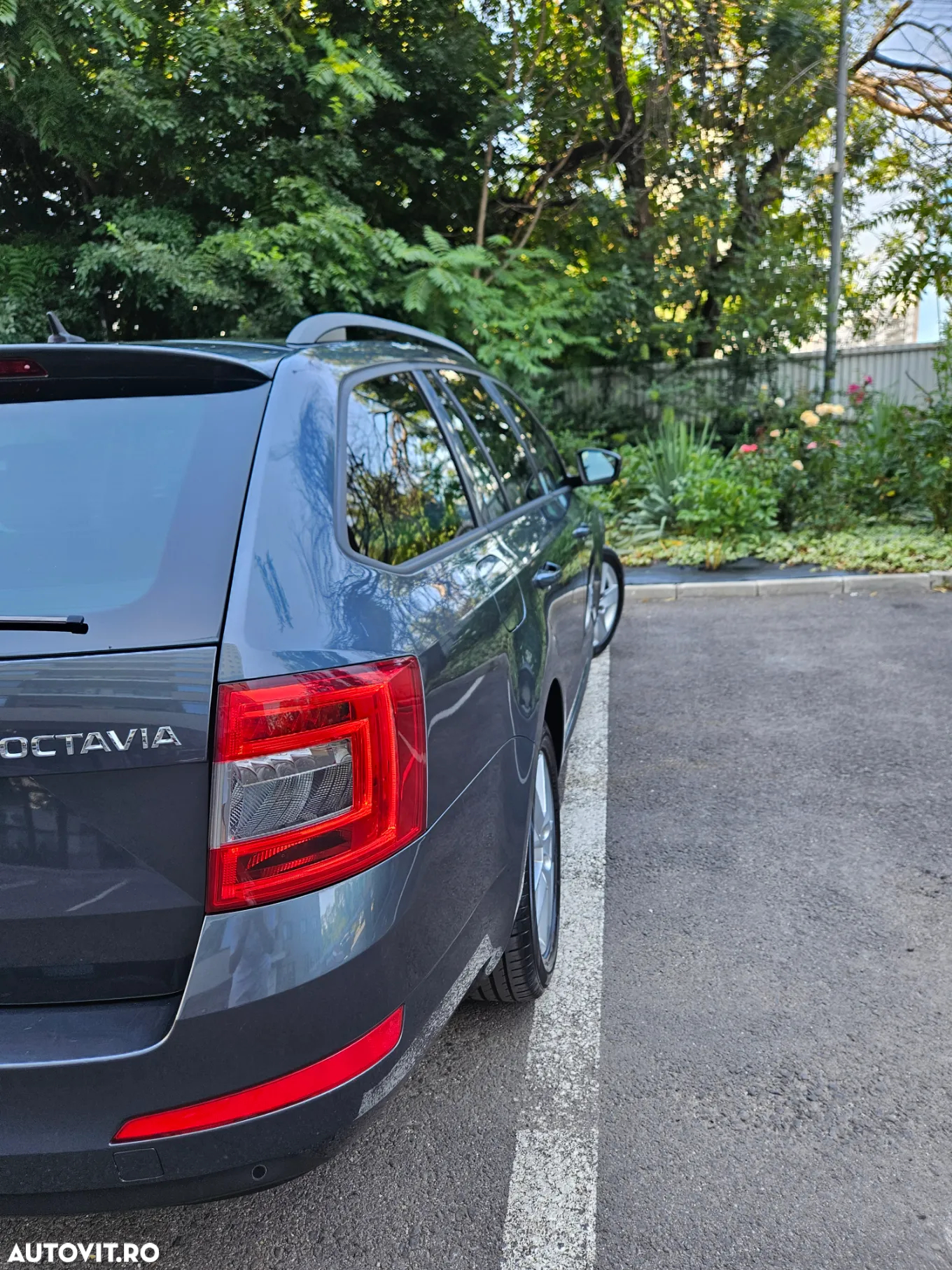 Skoda Octavia 1.6 TDI AMBITION - 19