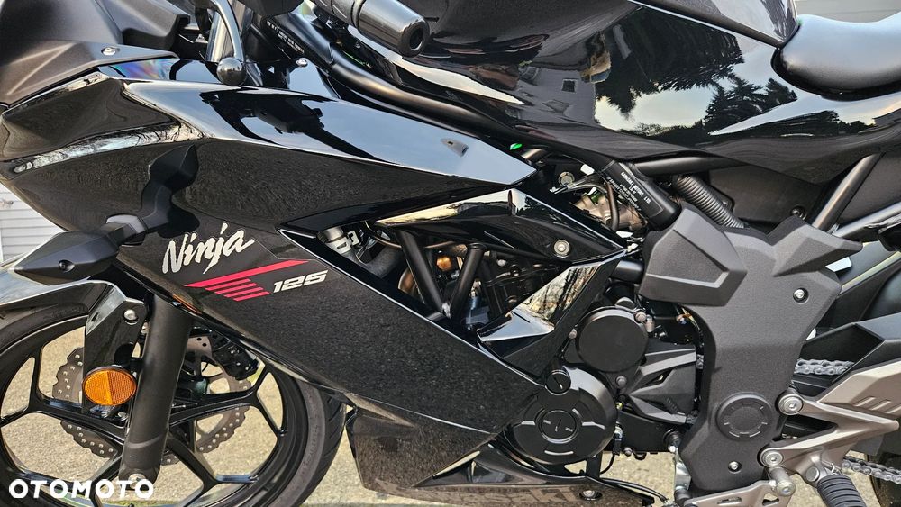 Kawasaki Ninja - 10