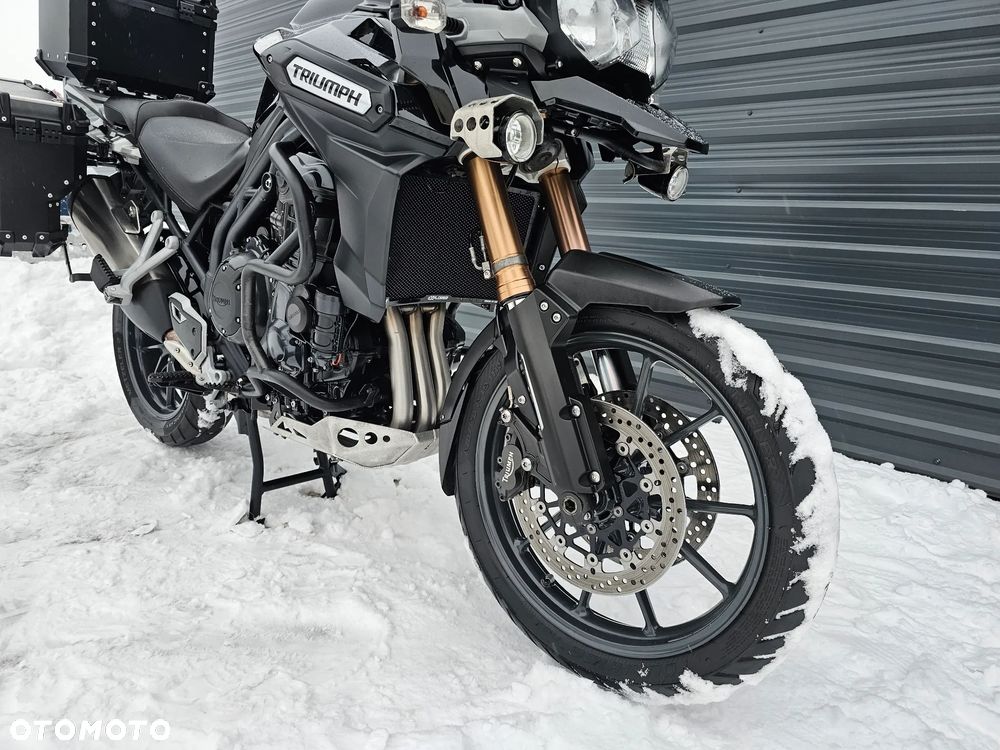 Triumph Tiger - 13