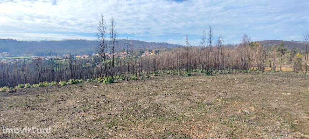 Terreno  Venda em Melres e Medas,Gondomar - Grande imagem: 3/8