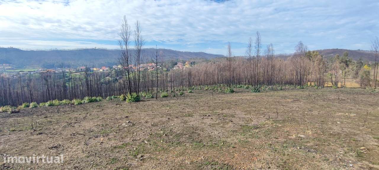 Terreno  Venda em Melres e Medas,Gondomar - Grande imagem: 3/8