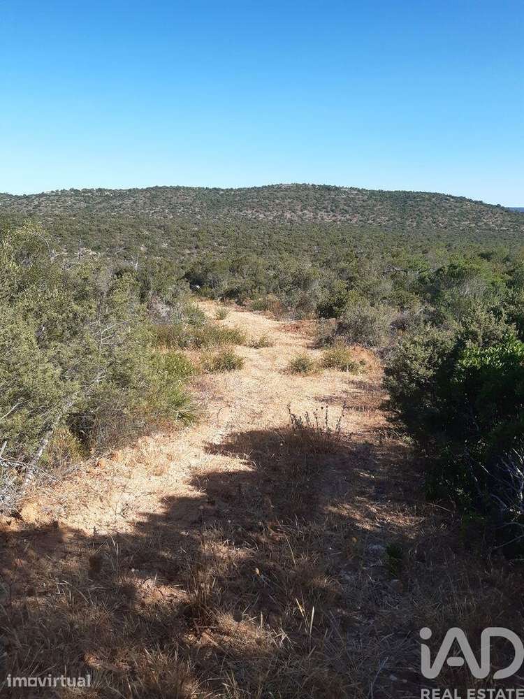 Terreno Agrícola em Paderne - Grande imagem: 3/9