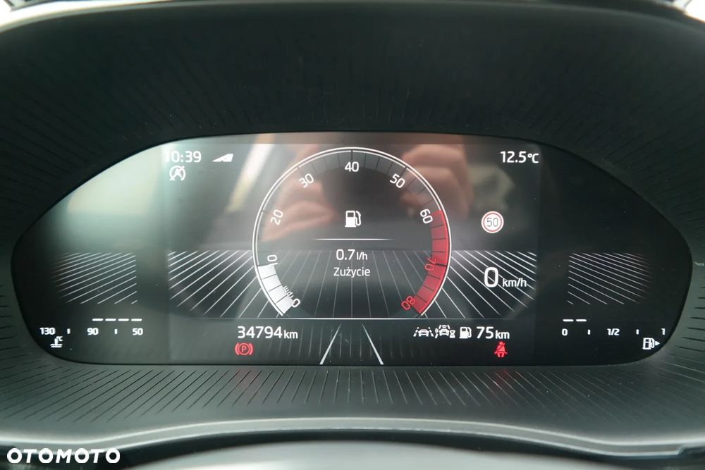 Skoda Fabia 1.0 TSI Monte Carlo - 14