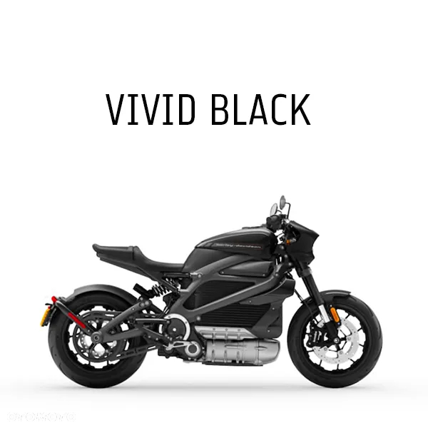 Harley-Davidson LiveWire - 9