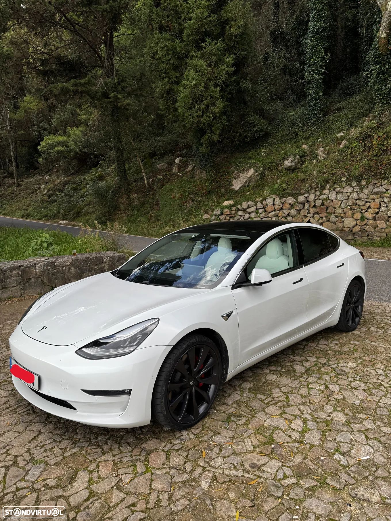 Tesla Model 3 Performance Dual Motor AWD - 1