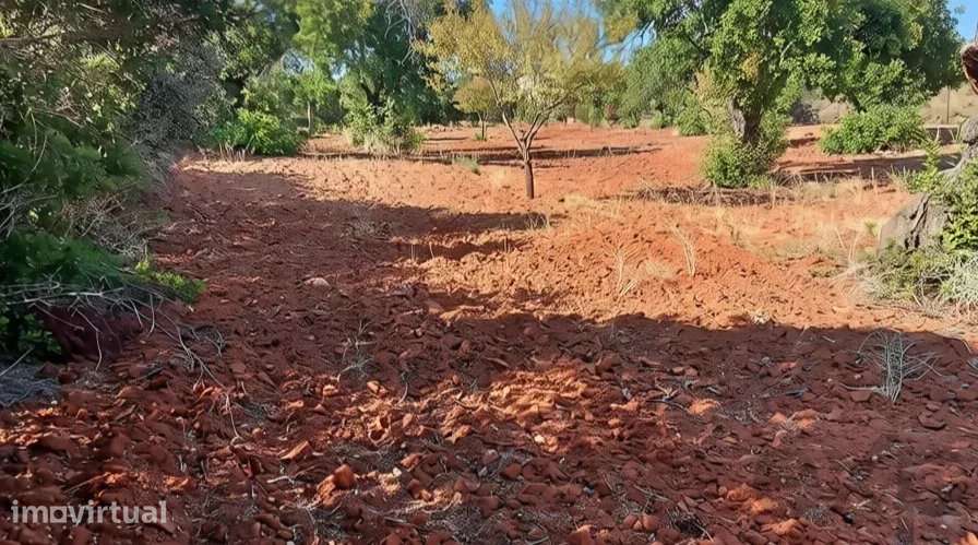 Terreno rústico plano com 4240 m2 no Algarve - Grande imagem: 2/14