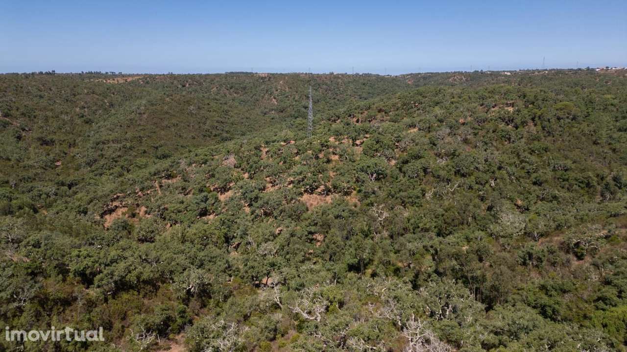 Terreno Misto 10.0 ha, São Francisco da Serra, Santiago do Cacem - Grande imagem: 3/18