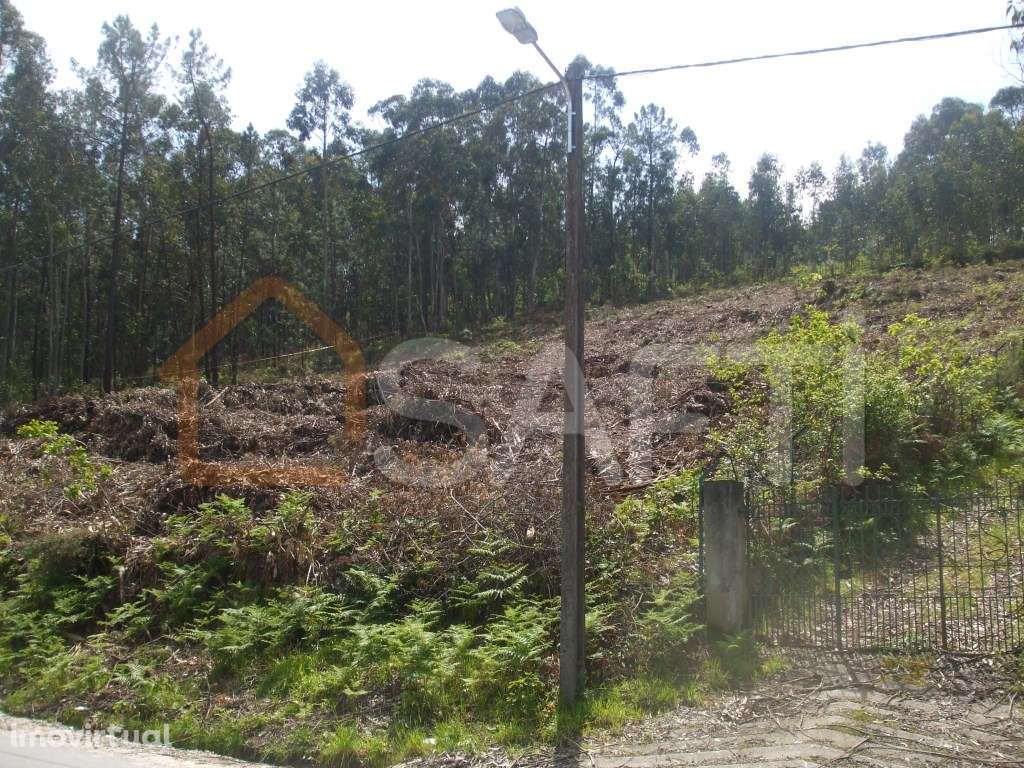 Terreno construtivo - Grande imagem: 2/13