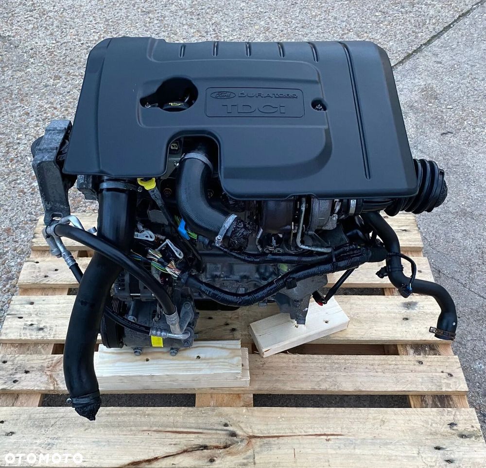 SILNIK FORD FOCUS 1.6 HDI G8DA G8DB G8DD G8DE G8D FDV6TED4