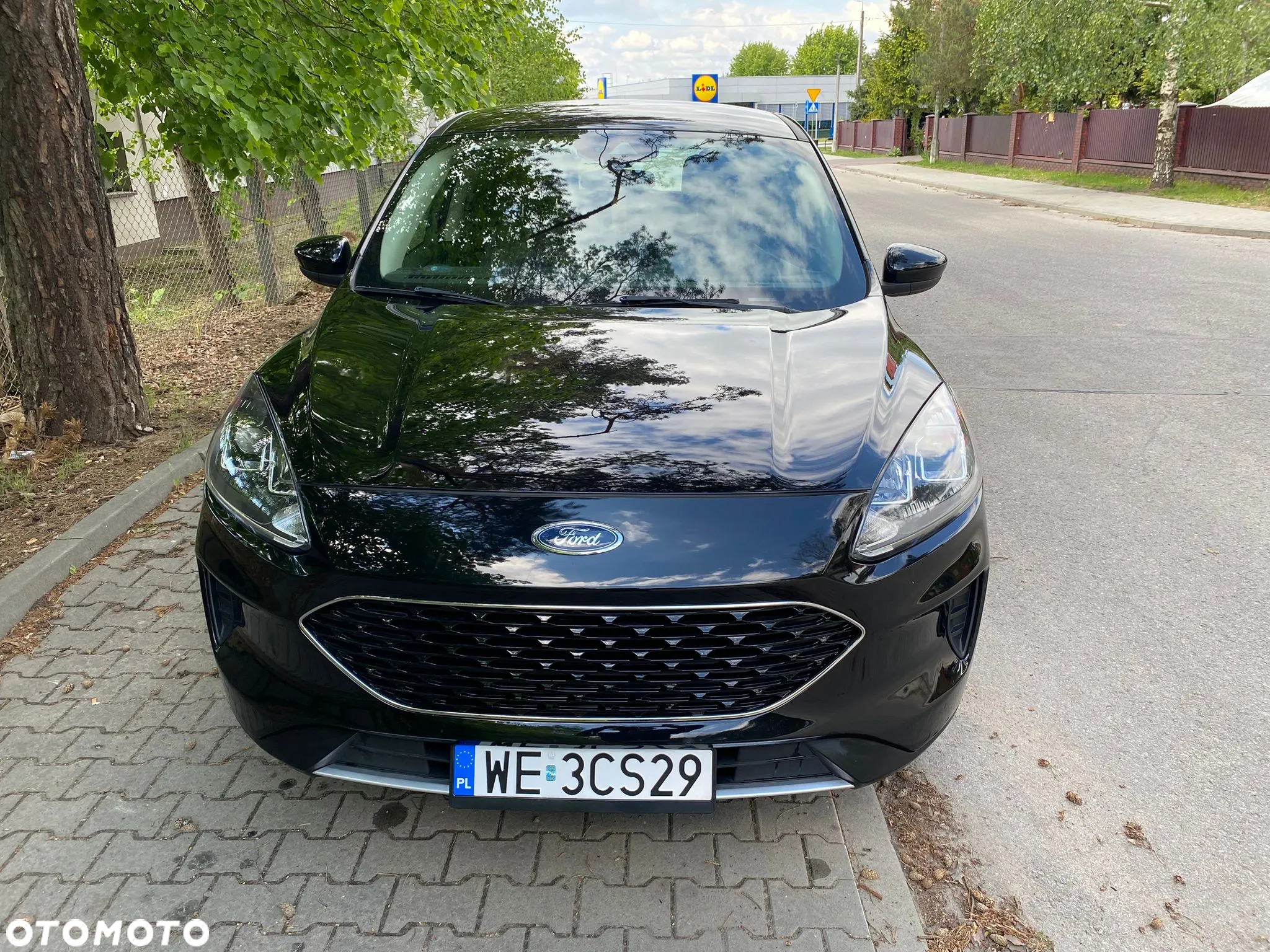 Ford Kuga 1.5 EcoBoost AWD Edition ASS - 2